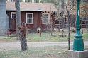 Deer at cabin up the road